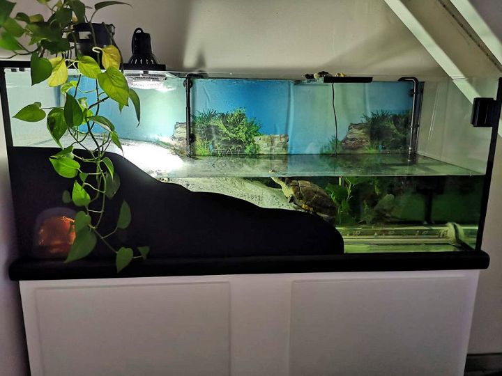 Aquatic Turtle Terrarium with Underwater Tunnel