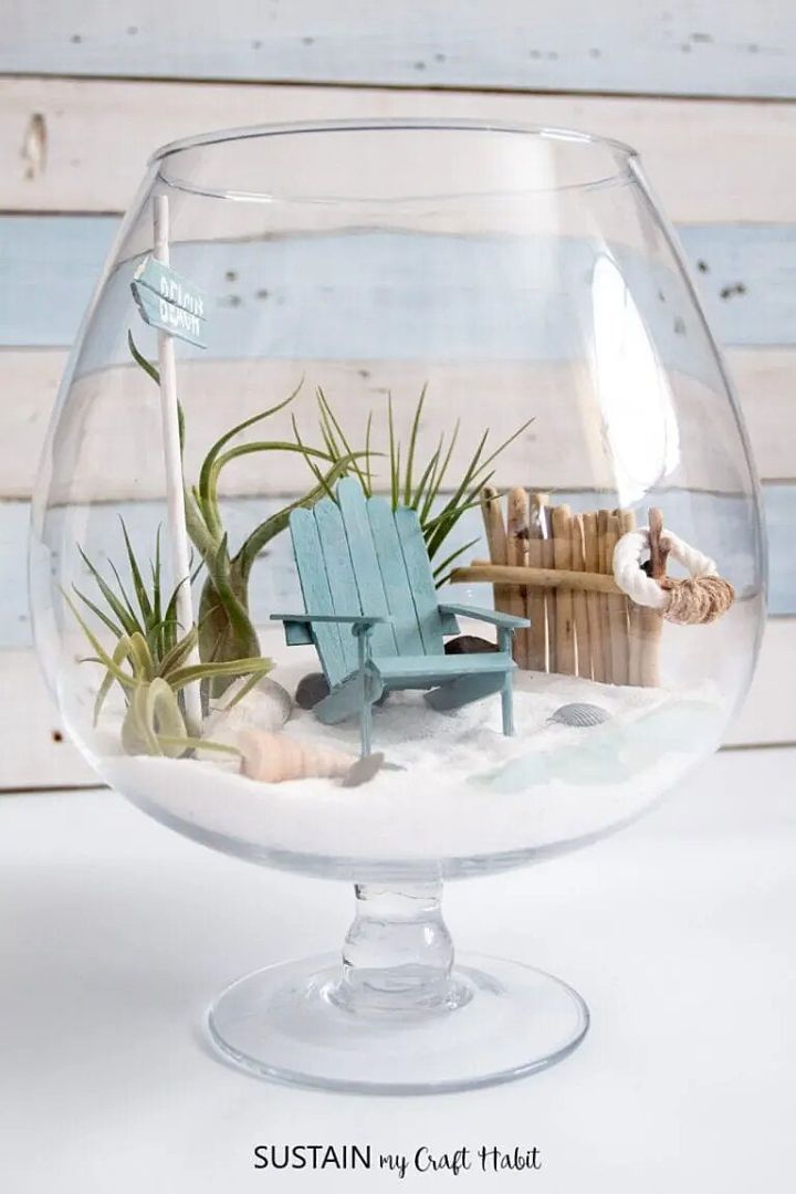 Beachy Air Plant Mini Garden Terrarium