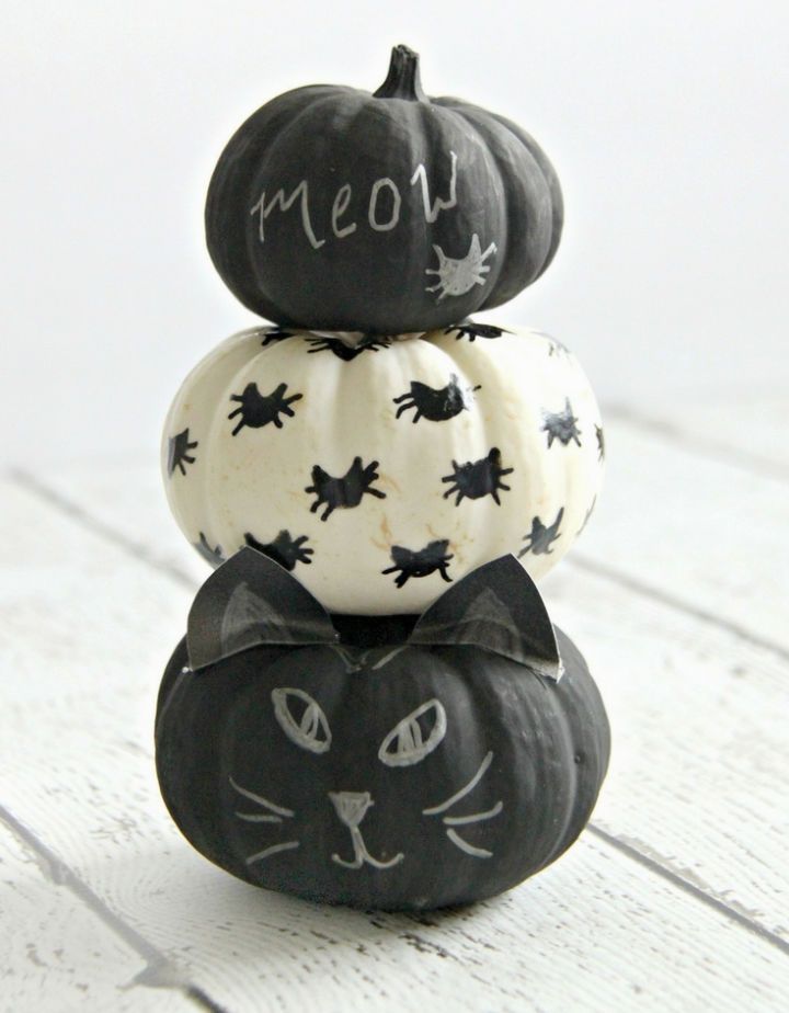 Black Cat Painted Mini Pumpkins