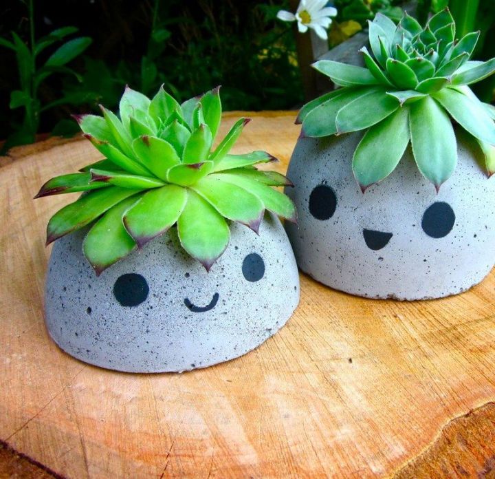 30 Easy DIY Planters - How to Make Your Own Planters