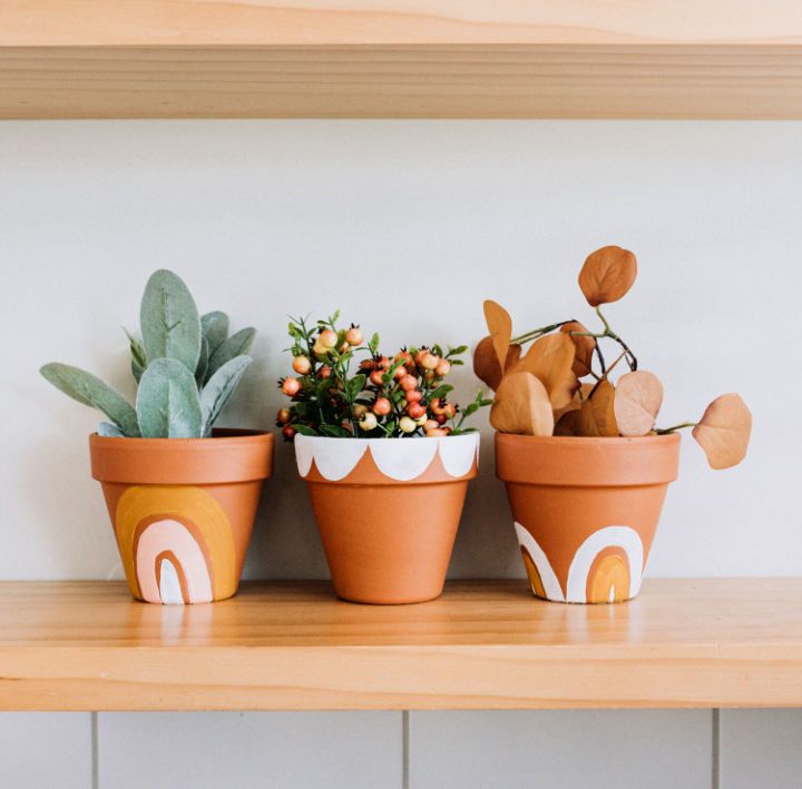 Cute Painted Terracotta Pots for a Gift