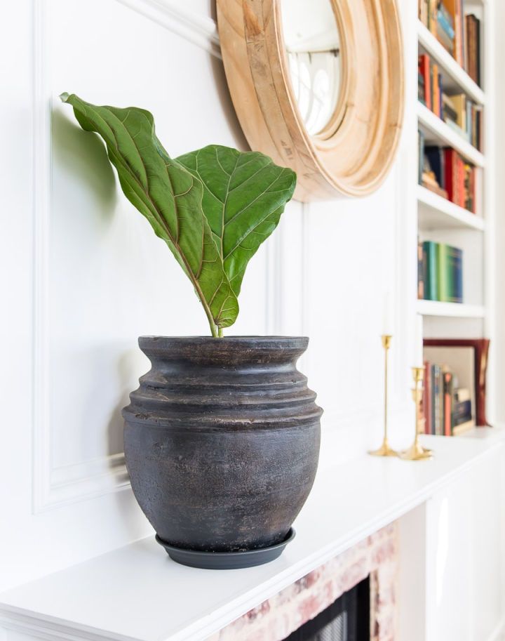 Aged Black Terra Cotta Pot