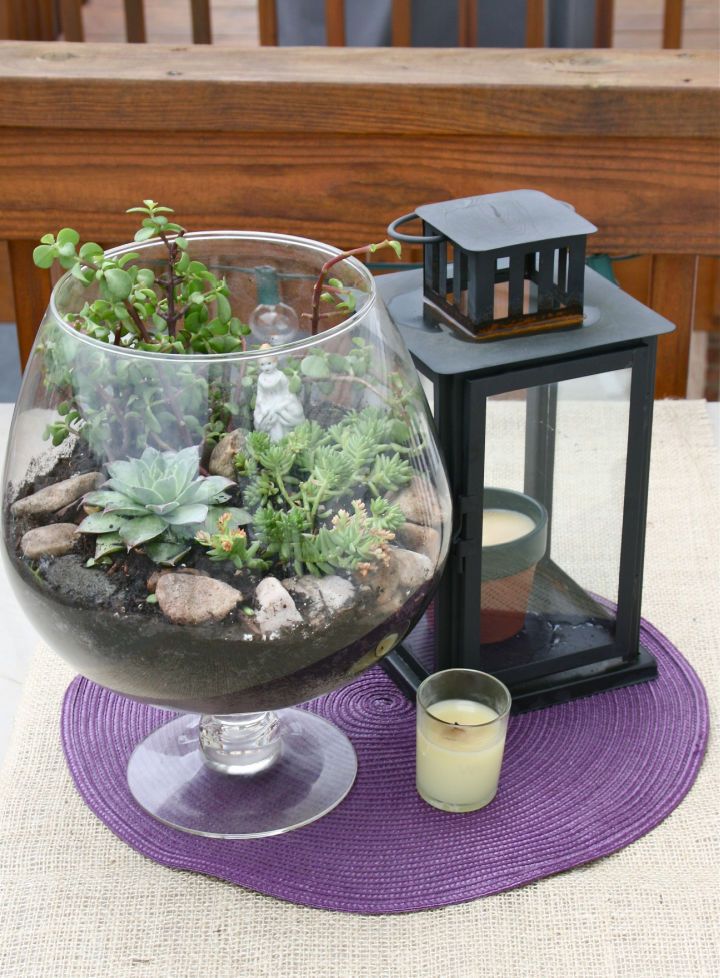 DIY Fish Bowl Terrarium