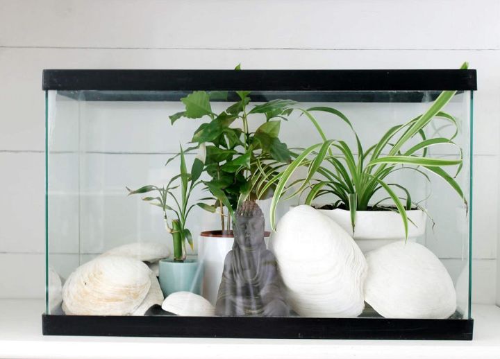 DIY Fish Tank Terrarium