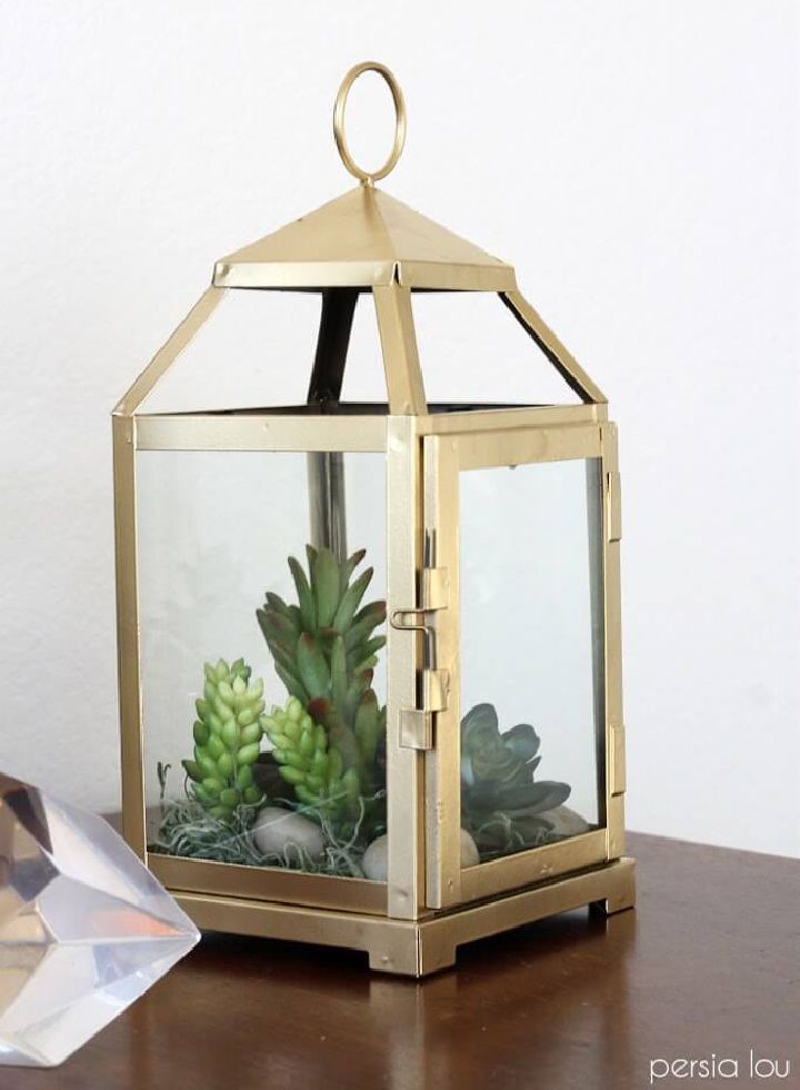 DIY Lantern Terrarium on Budget