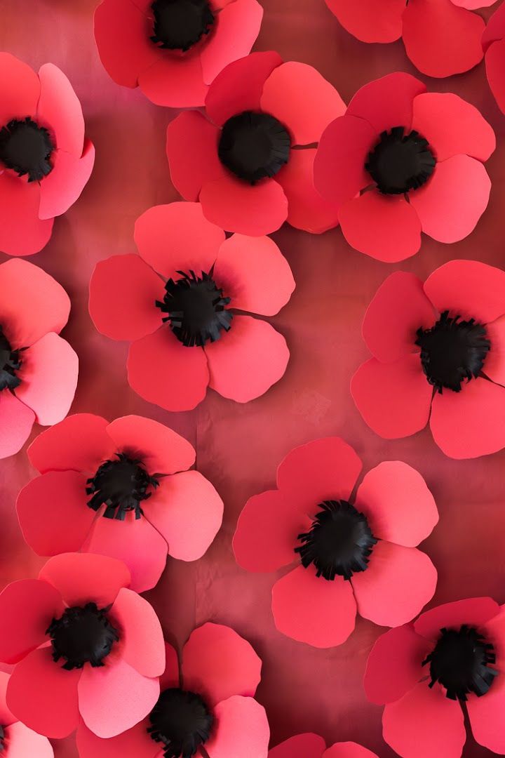 DIY Paper Poppy Backdrop