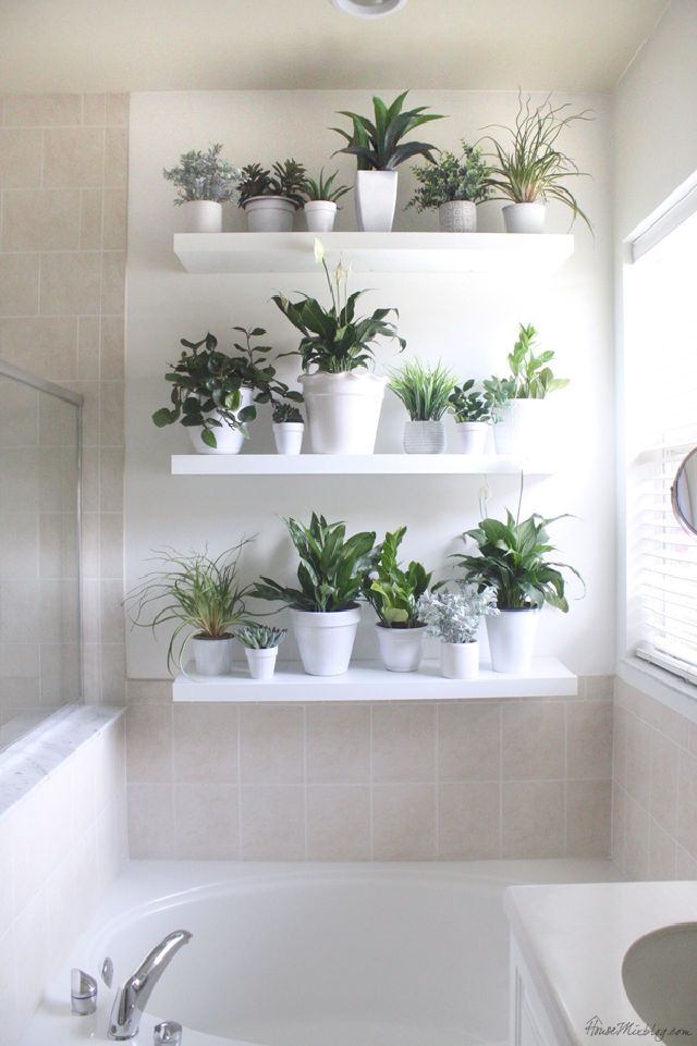 DIY Plant Wall in the Bathroom