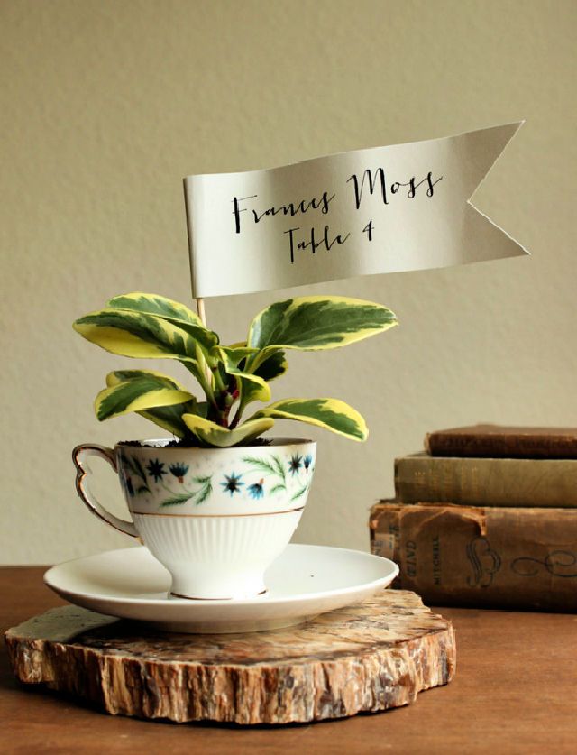 DIY Teacup Planter Favors
