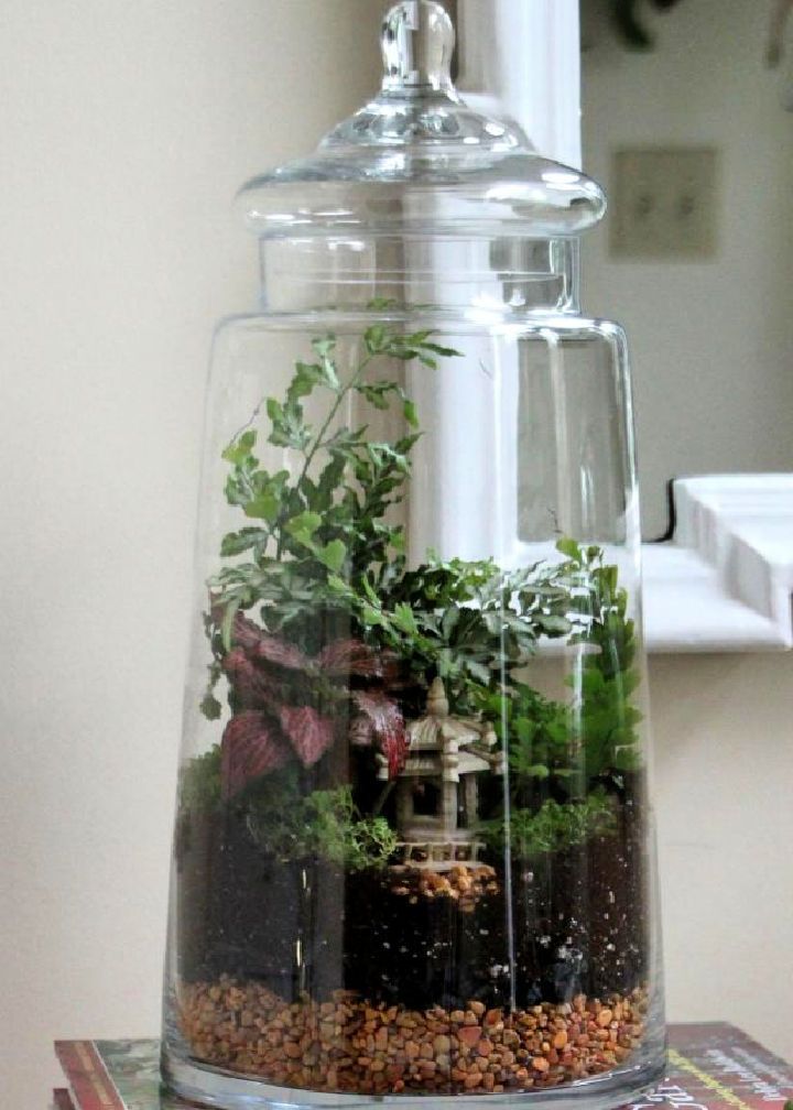 Easy Closed Lid Terrarium