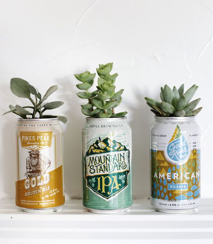 Easy DIY Beer Can Planters