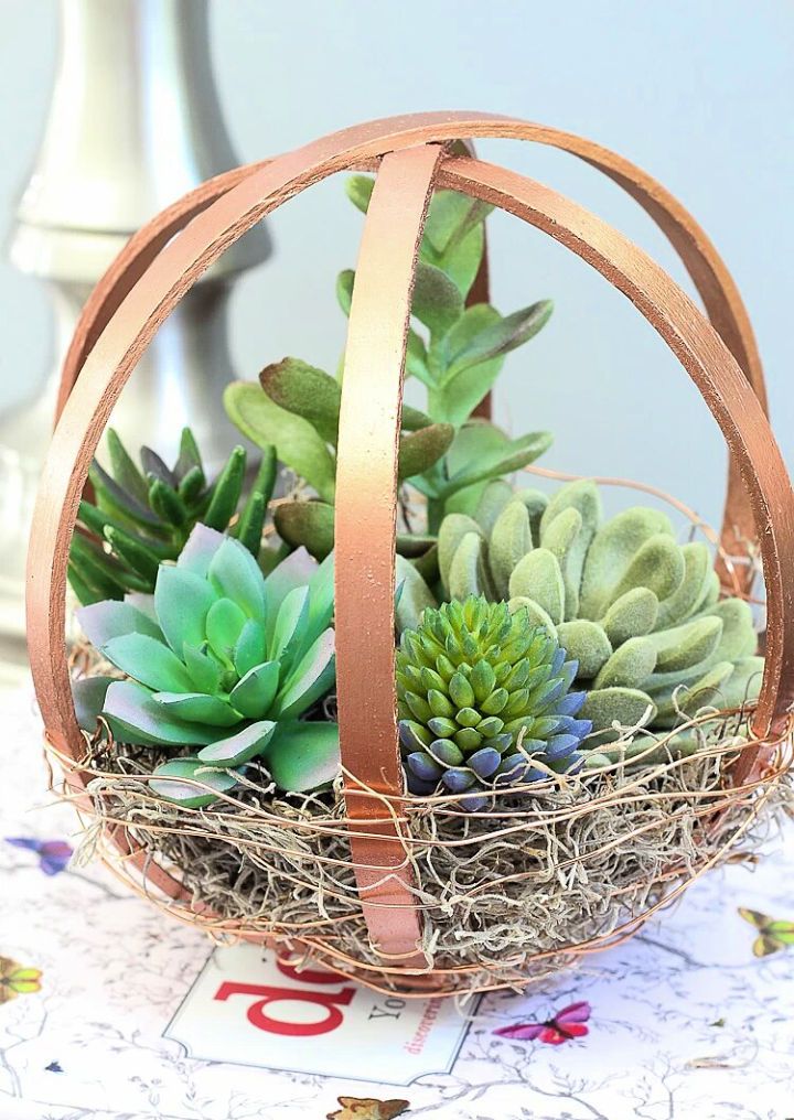 Embroidery Hoop Terrarium Globe