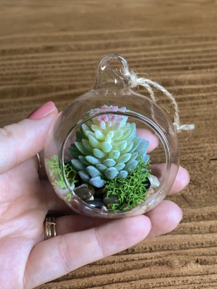 Faux Succulent Mini Hanging Terrariums