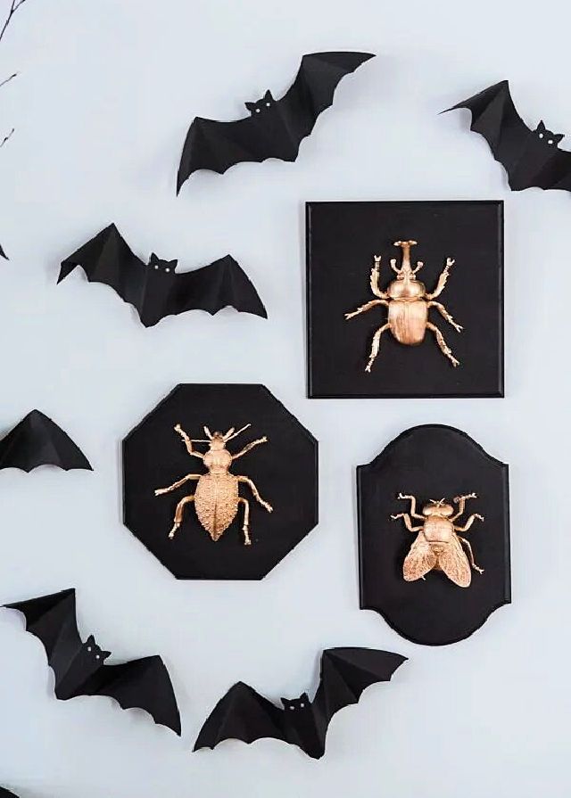 Golden Insect Taxidermy Plaques