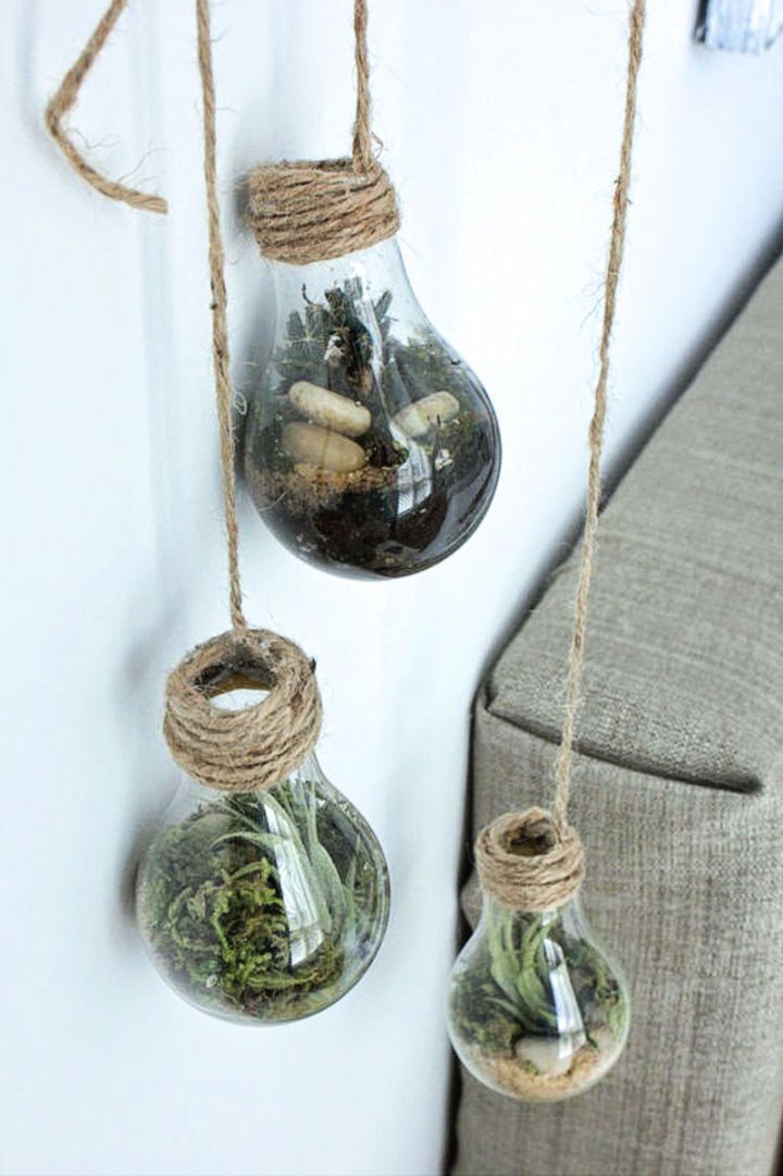 Hanging Lightbulb Terrarium