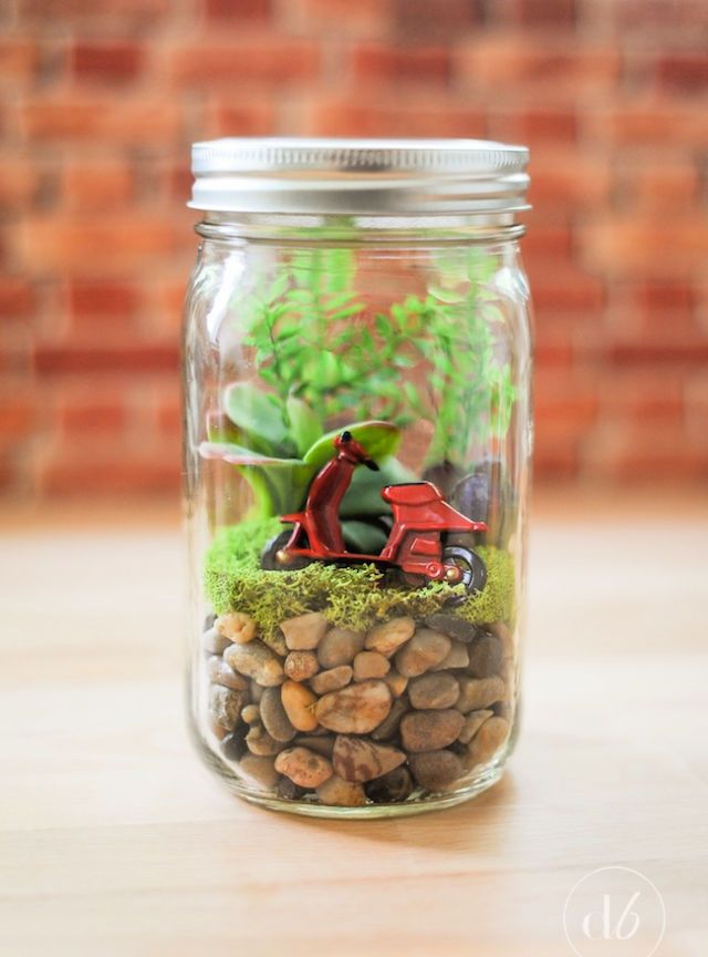 Homemade Mason Jar Terrarium