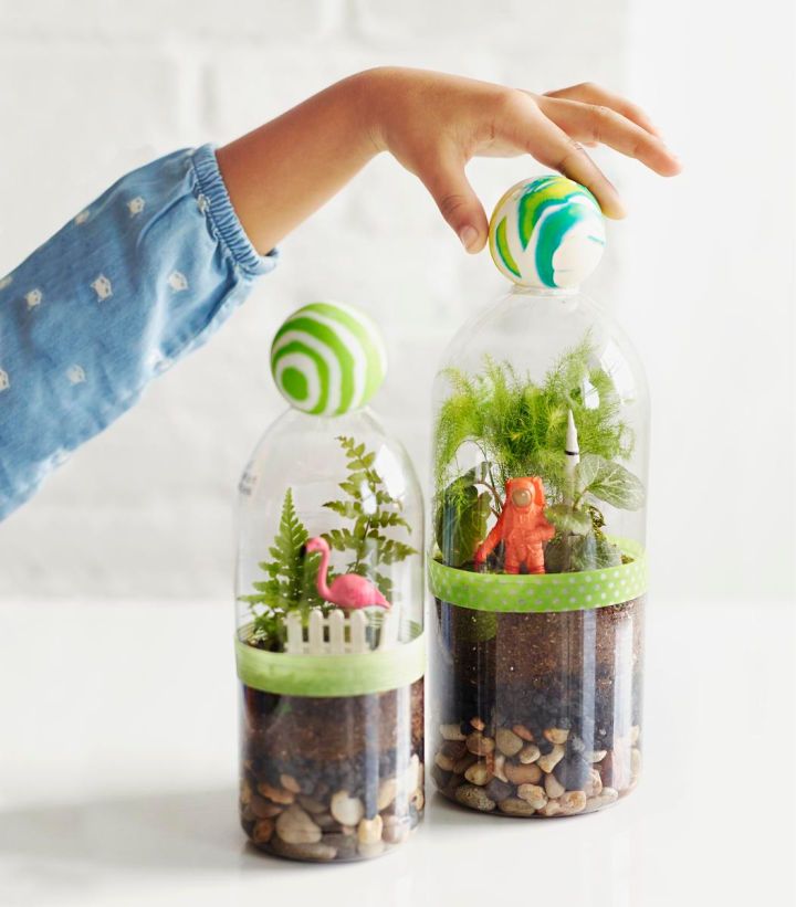 How to Make Terrarium Using Plastic Bottle