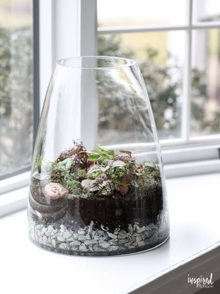 How to Make a Terrarium, Terrarium Ideas, Indoor Home Garden, Indoor  plants