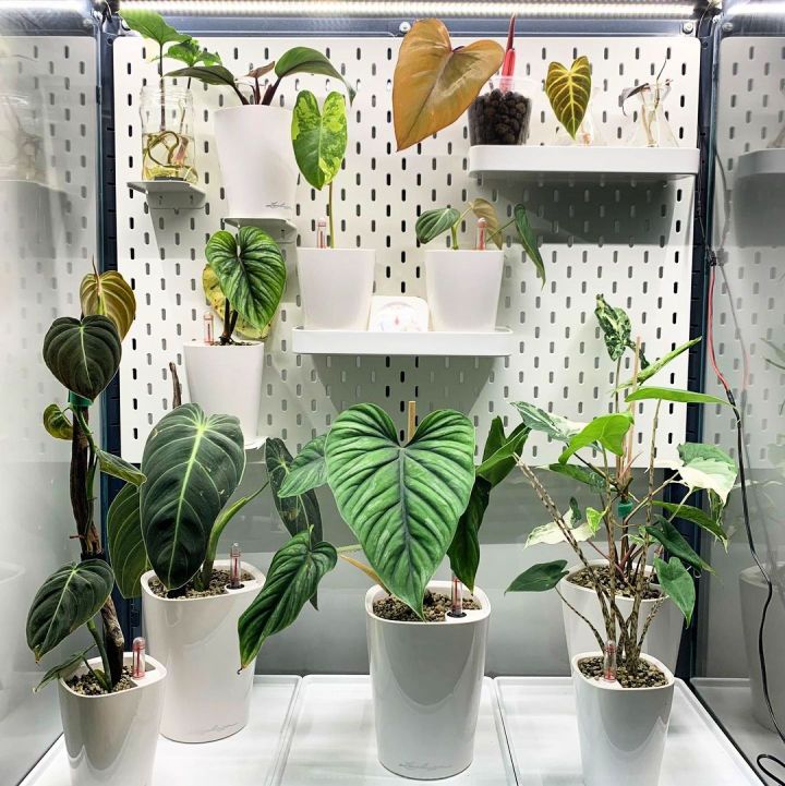 IKEA Greenhouse Cabinet