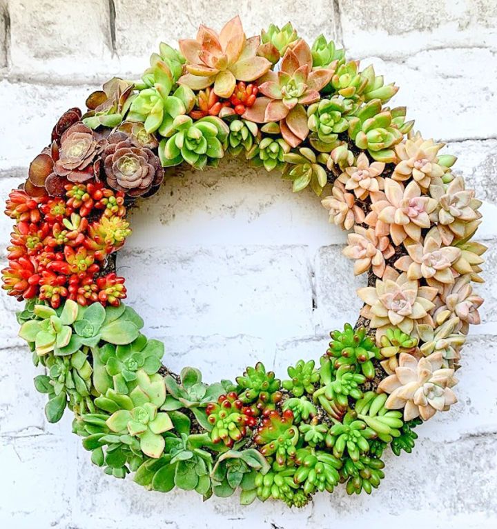 Make Your Own Succulent Wreath