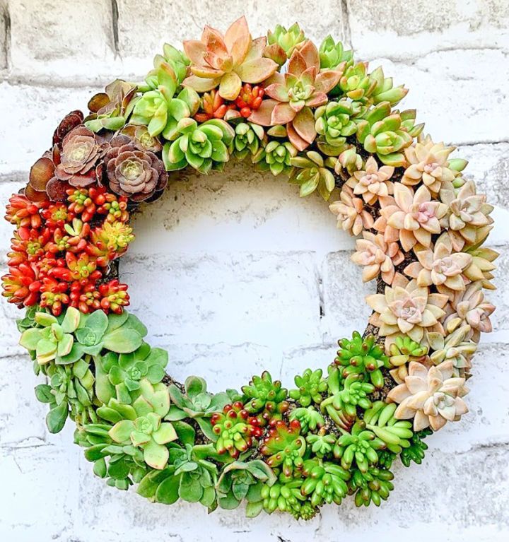 How To Make An Easy Decorative Mesh Wreath With Cotton Pods And Succulents  - Seeing Dandy Blog