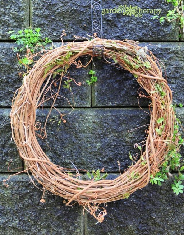 Make a Grapevine Wreath