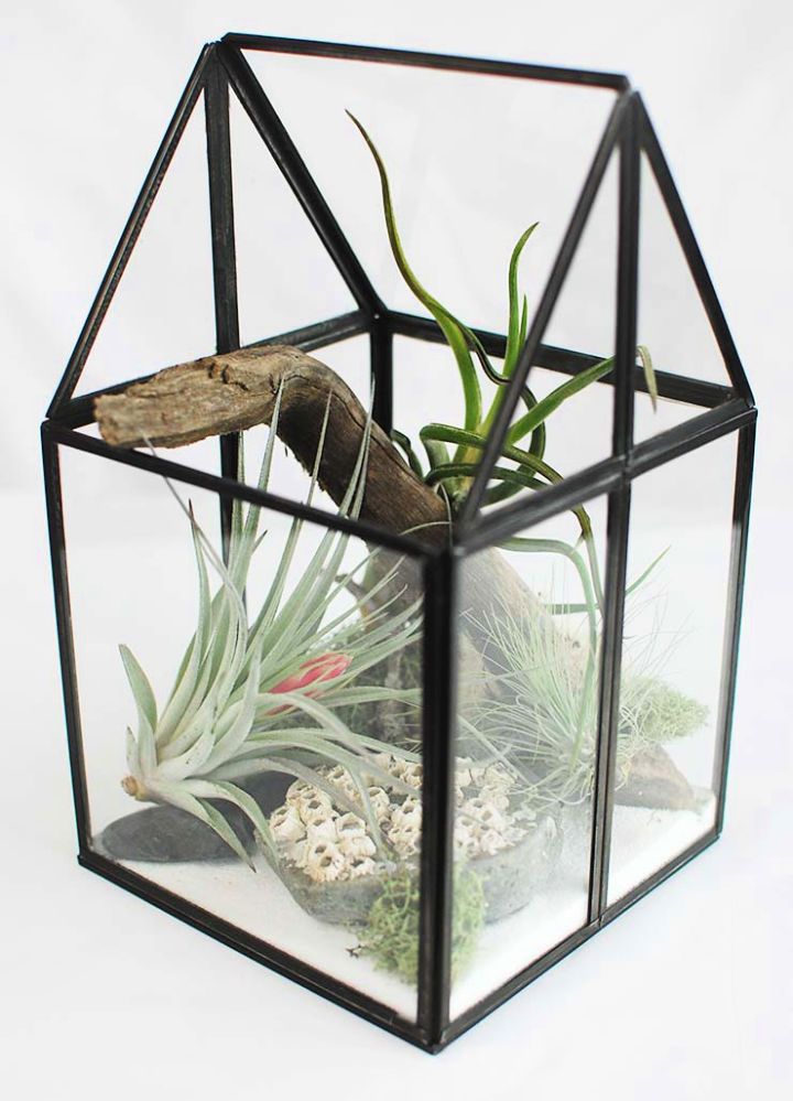 Start Your Terrarium Project with Ease: Eco-Glass Terrarium Kits and Expert  Advice