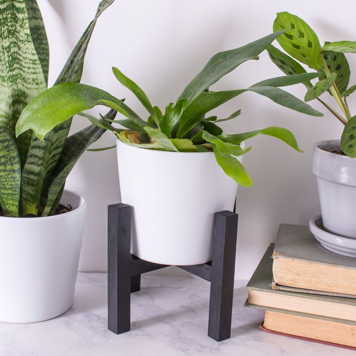 Mini Wooden Plant Stand