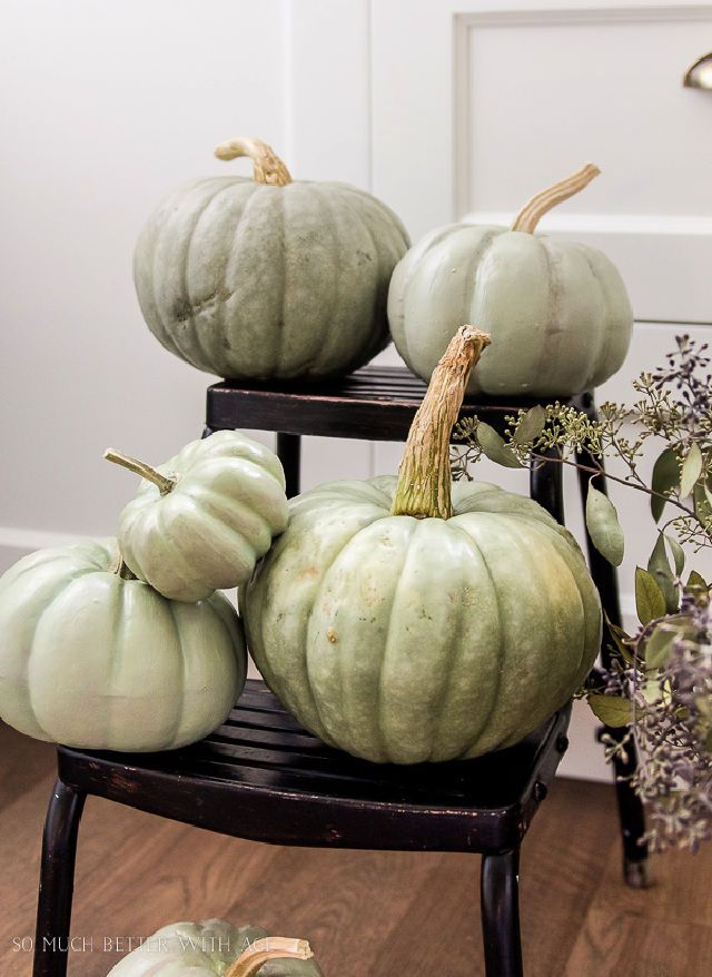 Paint Your Own Heirloom Pumpkin