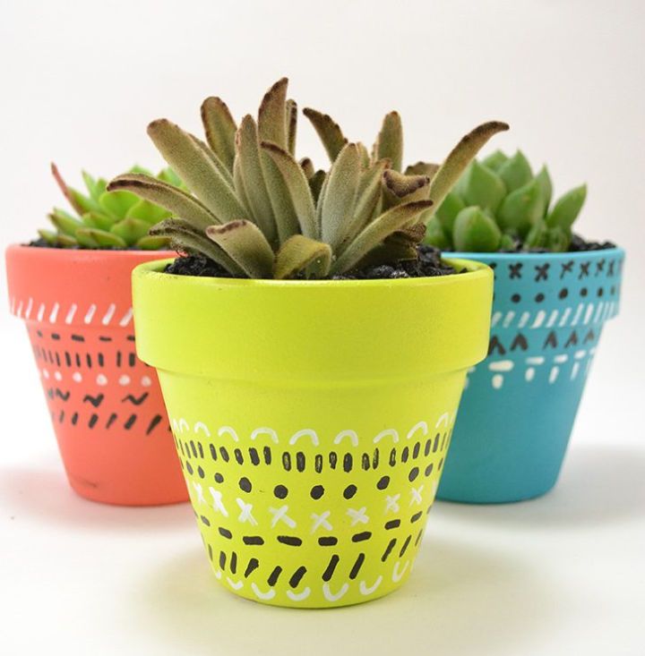Painted Colorful Succulent Clay Pots