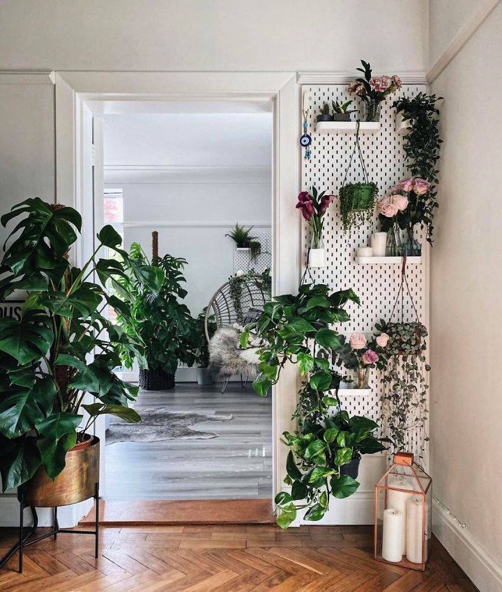 Pegboard Living Wall