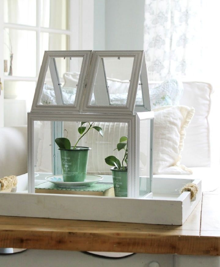 Picture Frame Greenhouse Terrarium