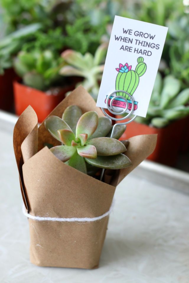 Printable Succulent Gift Tag