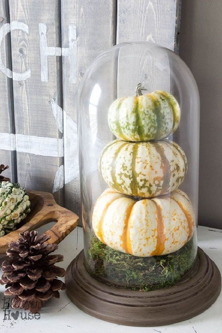 Pumpkin Terrarium from a Dome Clock