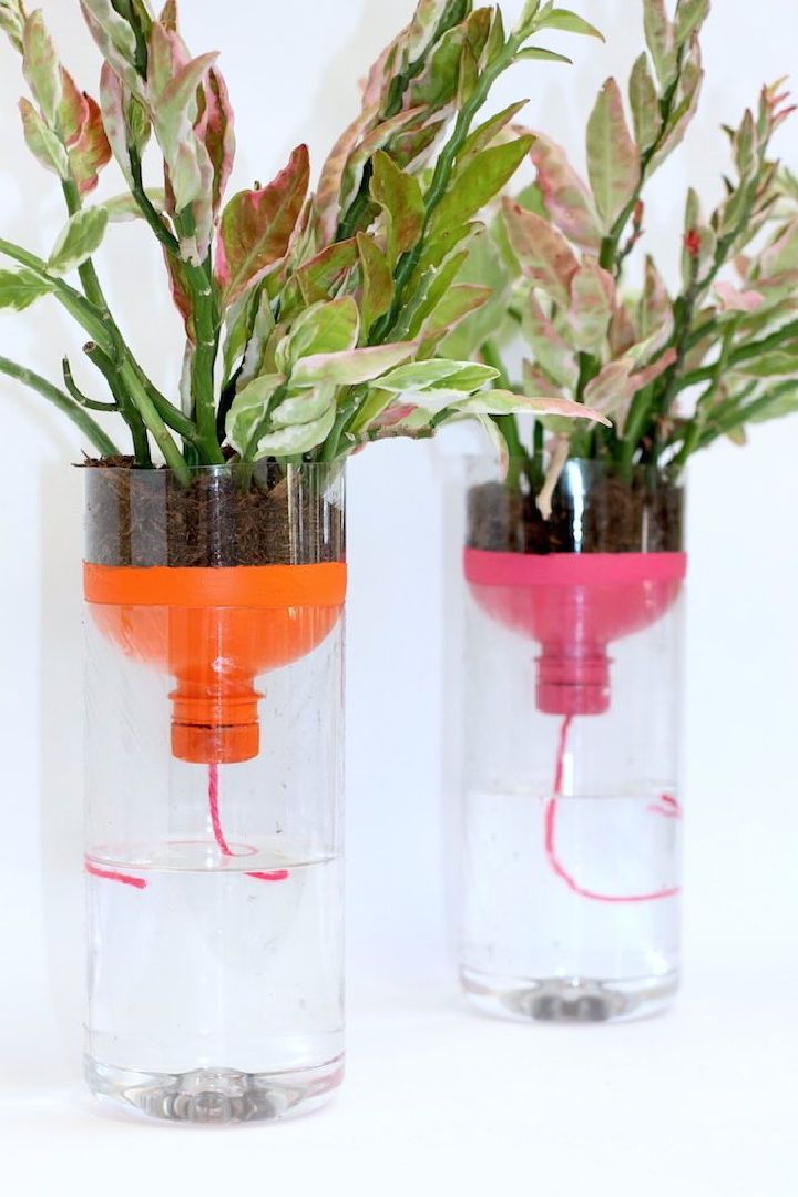 Self Watering Planters with Recycled Bottles