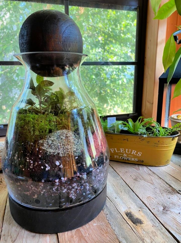 Self sustaining Terrarium from Scratch