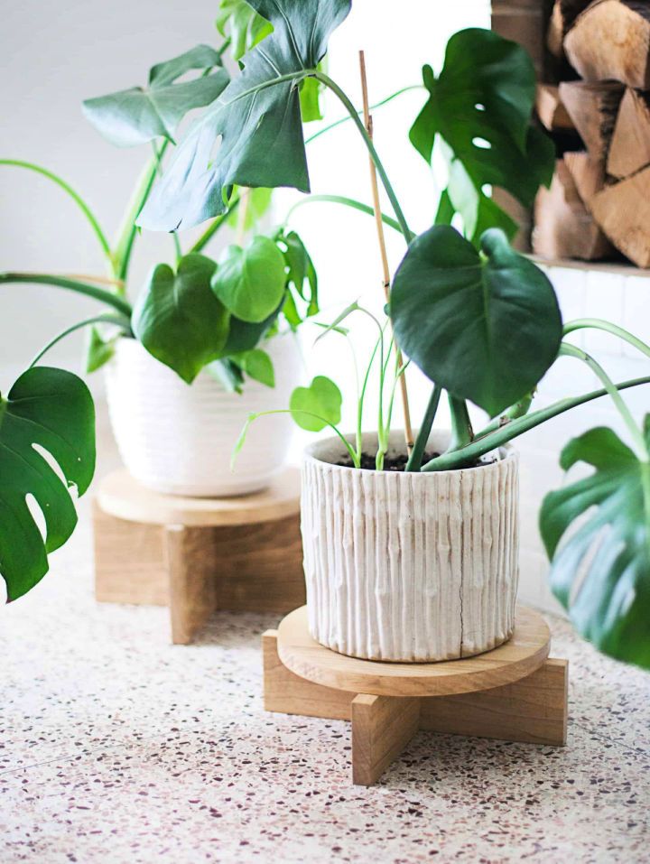 Simple DIY Wood Plant Stand