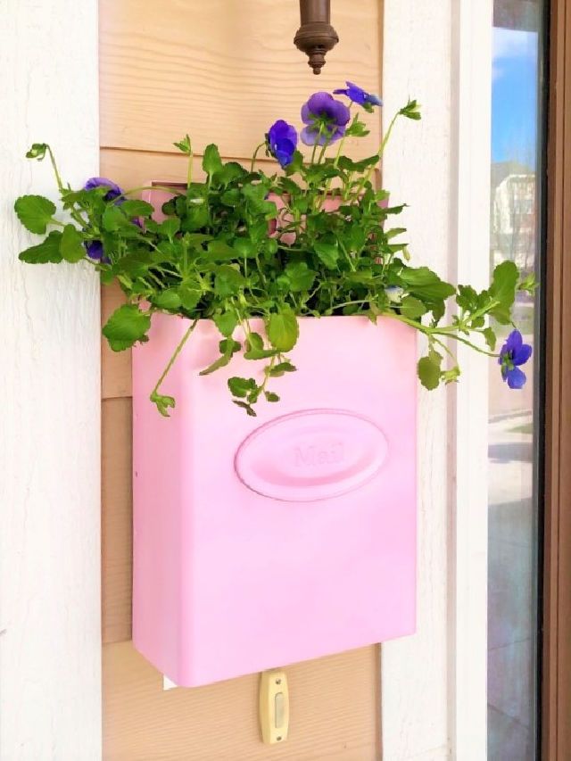 Simple Mailbox Planter