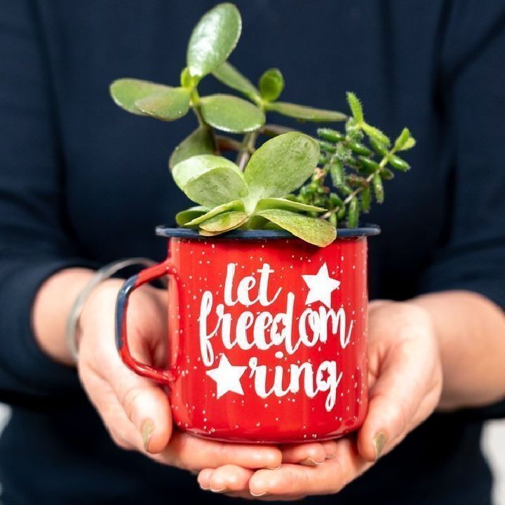 Small Planter in a Mug