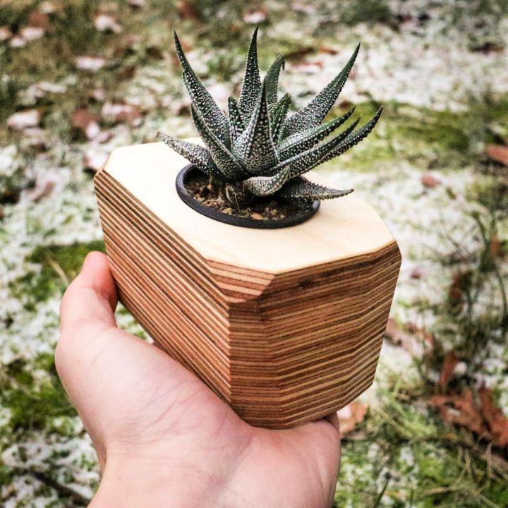 Succulent Planter Using Plywood Scraps