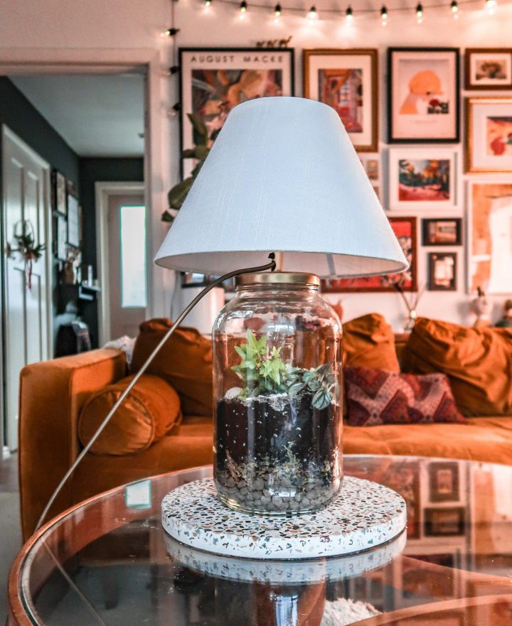 Unique DIY Terrarium Lamp