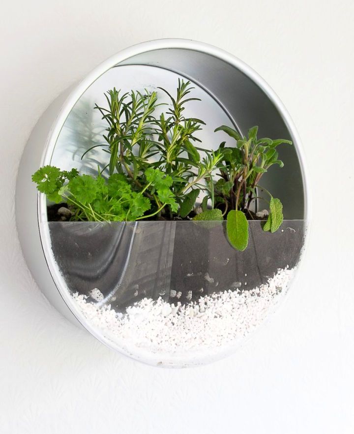 Wall Mounted Indoor Herb Planter