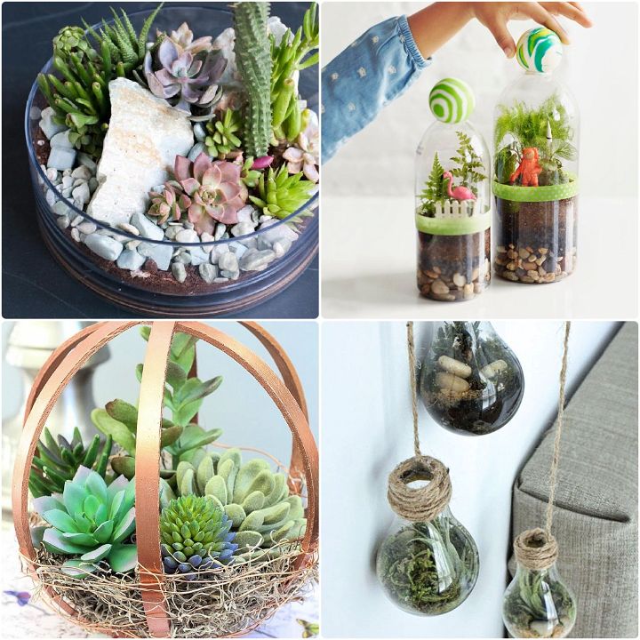 Start Your Terrarium Project with Ease: Eco-Glass Terrarium Kits and Expert  Advice